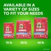 imageIAMS Proactive Health Large Breed Adult Dry Dog Food Lamb ampamp Rice Recipe 30 lb BagLamb  Rice