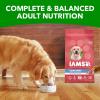 imageIAMS Proactive Health Large Breed Adult Dry Dog Food Lamb ampamp Rice Recipe 30 lb BagLamb  Rice