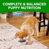 imageIAMS Proactive Health Large Breed Puppy Food with Real Chicken 306 lb BagChicken
