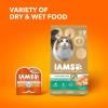 imageIAMS Proactive Health Long Hair Care Adult Dry Cat Food with Real Chicken ampamp Salmon 3 lb BagChicken