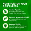 imageIAMS Proactive Health Minichunks Adult Dry Dog Food with Lamb ampamp Rice 30 lb BagLamb  Rice