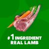 imageIAMS Proactive Health Minichunks Adult Dry Dog Food with Lamb ampamp Rice 30 lb BagLamb  Rice
