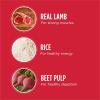 imageIAMS Proactive Health Minichunks Adult Dry Dog Food with Lamb ampamp Rice 30 lb BagLamb  Rice