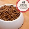 imageIAMS Proactive Health Minichunks Adult Dry Dog Food with Lamb ampamp Rice 30 lb BagLamb  Rice