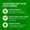 imageIAMS Proactive Health Minichunks Adult Dry Dog Food with Lamb ampamp Rice 30 lb BagLamb  Rice