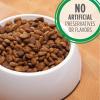 imageIAMS Proactive Health Minichunks Adult Dry Dog Food with Real Chicken 30 lb BagChicken