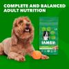 imageIAMS Proactive Health Minichunks Adult Dry Dog Food with Real Chicken 30 lb BagChicken