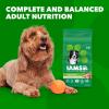 imageIAMS Proactive Health Minichunks Adult Dry Dog Food with Real Chicken 30 lb BagChicken