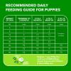 imageIAMS Proactive Health Puppy Food with Real Chicken 15 lb BagChicken
