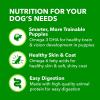 imageIAMS Proactive Health Puppy Wet Dog Food Classic Ground with Chicken and Rice 13 oz Cans 12 Count Pack of 1