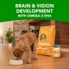 imageIAMS Proactive Health Puppy Wet Dog Food Classic Ground with Chicken and Rice 13 oz Cans 12 Count Pack of 1