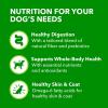 imageIAMS Proactive Health Small Breed Dog Food Dry with Real Chicken 15 lb BagChicken