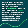 imageIAMS Senior Healthy Aging Large Breed Dry Dog Food Chicken 15 lb Bag  Whistle Health Smart Device  Dog Health and Fitness Tracker