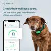 imageIams Adult Large Breed Dry Dog Food Chicken 15 lb Bag  Whistle Health Smart Device  Dog Health and Fitness Tracker