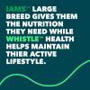 imageIams Adult Large Breed Dry Dog Food Chicken 15 lb Bag  Whistle Health Smart Device  Dog Health and Fitness Tracker