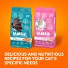 imageIAMS Proactive Health Healthy Adult Dry Cat Food with Real Salmon 22 lb BagAdult