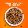 imageIAMS Proactive Health Healthy Adult Dry Cat Food with Real Salmon 22 lb BagAdult
