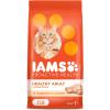 imageIAMS Proactive Health Healthy Adult Dry Cat Food with Real Salmon 22 lb BagAdult