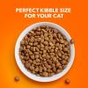 imageIAMS Proactive Health Indoor Weight ampamp Hairball Care Adult Dry Cat Food with Salmon 22 lb BagChicken  Turkey