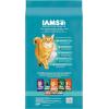 imageIAMS Proactive Health Indoor Weight ampamp Hairball Care Adult Dry Cat Food with Salmon 22 lb BagChicken  Turkey