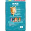 imageIAMS Proactive Health Indoor Weight ampamp Hairball Care Adult Dry Cat Food with Salmon 22 lb BagSalmon