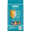 imageIAMS Proactive Health Indoor Weight ampamp Hairball Care Adult Dry Cat Food with Salmon 22 lb BagSalmon