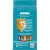 imageIAMS Proactive Health Indoor Weight ampamp Hairball Care Adult Dry Cat Food with Salmon 22 lb BagSalmon