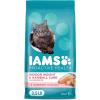 imageIAMS Proactive Health Indoor Weight ampamp Hairball Care Adult Dry Cat Food with Salmon 22 lb BagSalmon