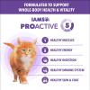 imageIAMS Proactive Health Healthy Kitten Dry Cat Food Salmon Recipe 16 lb BagSalmon